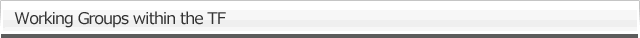 Working Groups within the TF